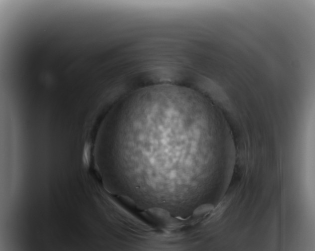 X0000088380070200705291356