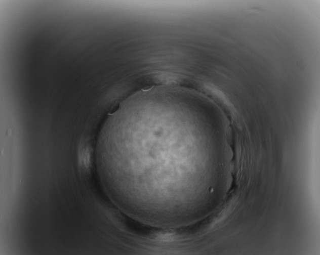 X0000088380071200705291356