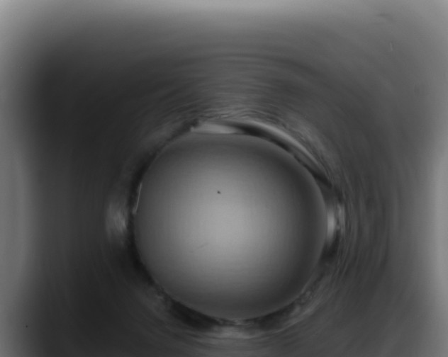 X0000088380072200705291356
