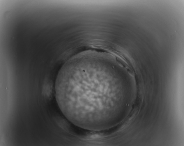 X0000088380073200705291356