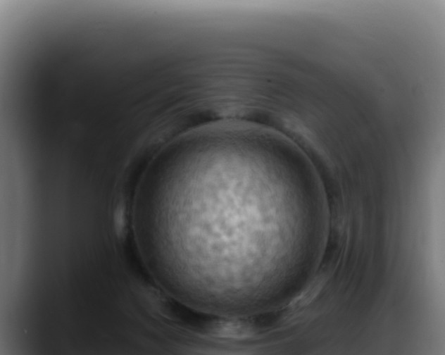 X0000088380074200705291356