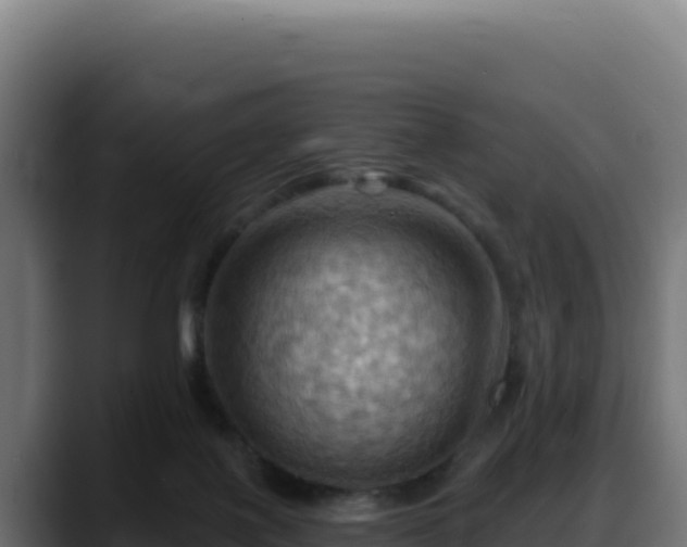 X0000088380075200705291356