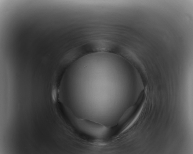 X0000088380076200705291356