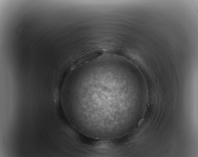 X0000088380077200705291356