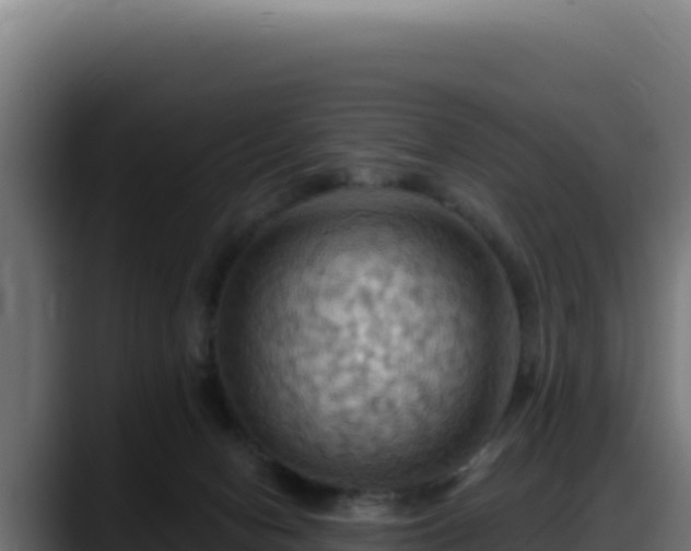 X0000088380078200705291356