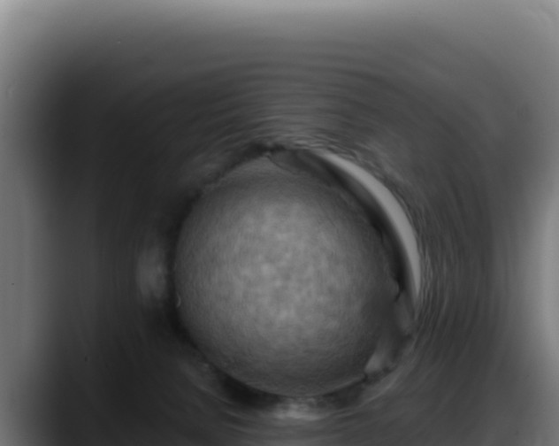 X0000088380080200705291356