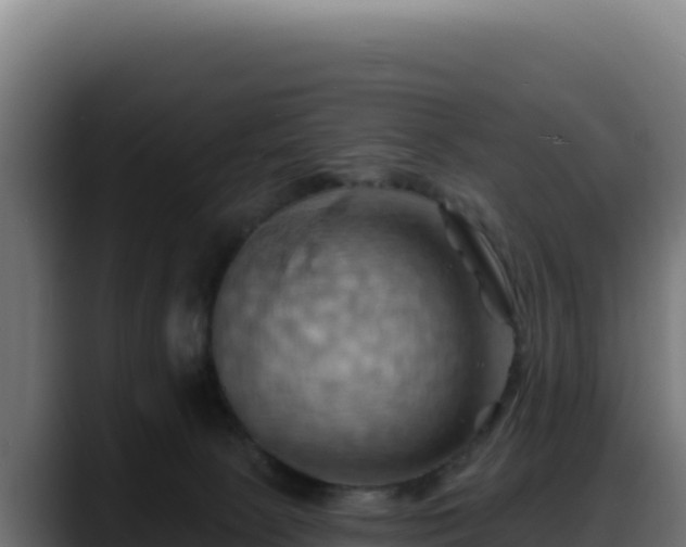 X0000088380081200705291356