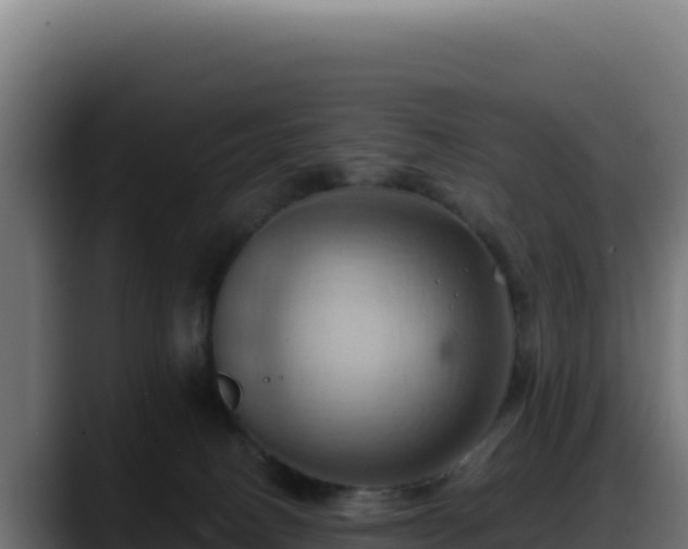 X0000088380082200705291356
