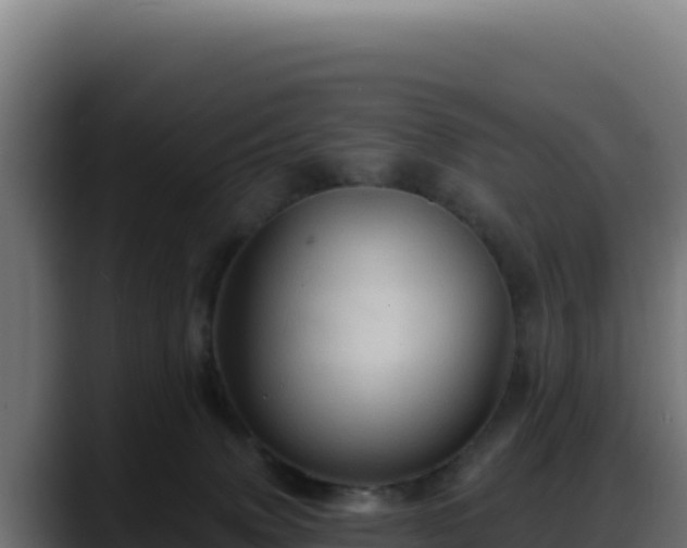 X0000088380083200705291356