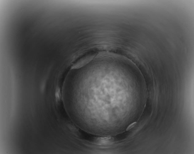 X0000088380089200705291356
