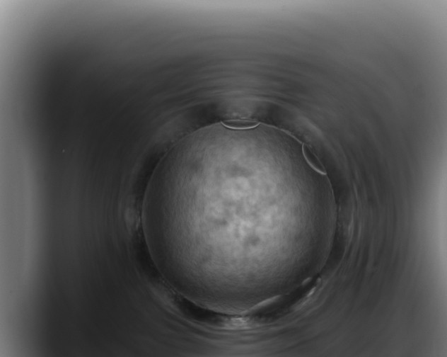 X0000088380091200705291356