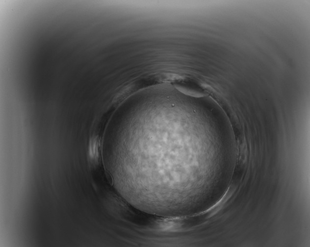 X0000088380094200705291356