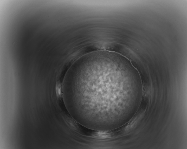 X0000088380095200705291356