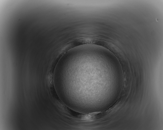 X0000088380096200705291356