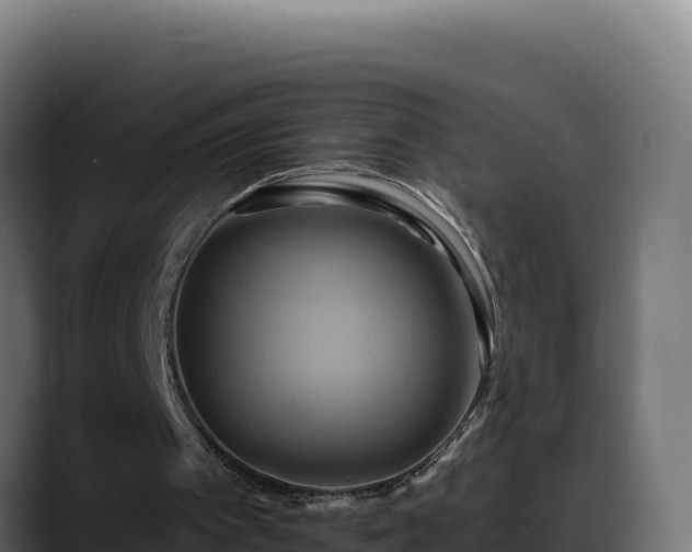 X0000088380097200705291356
