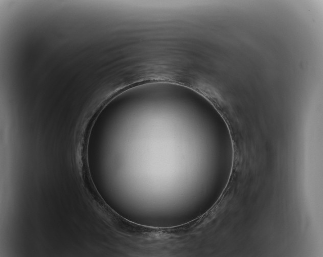 X0000088380098200705291356