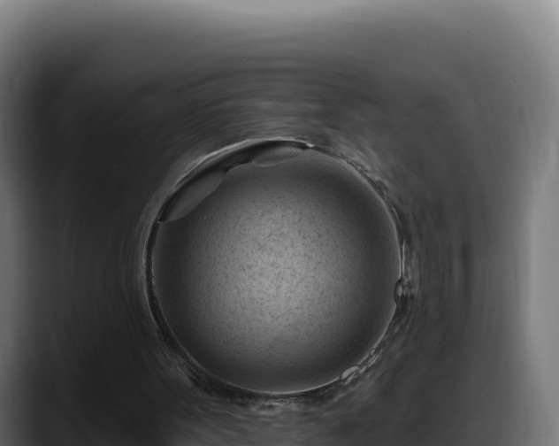 X0000088380099200705291356
