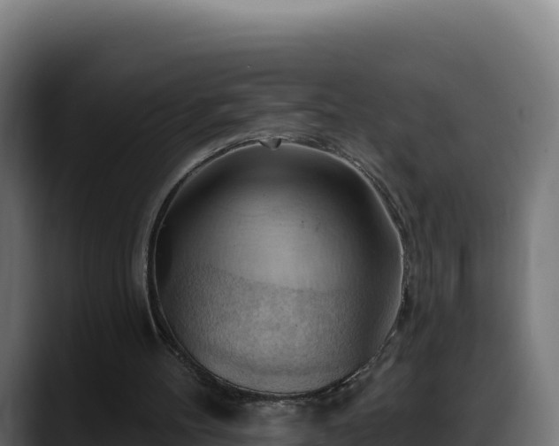 X0000088380100200705291356