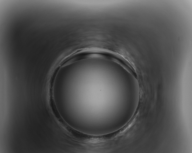 X0000088380101200705291356