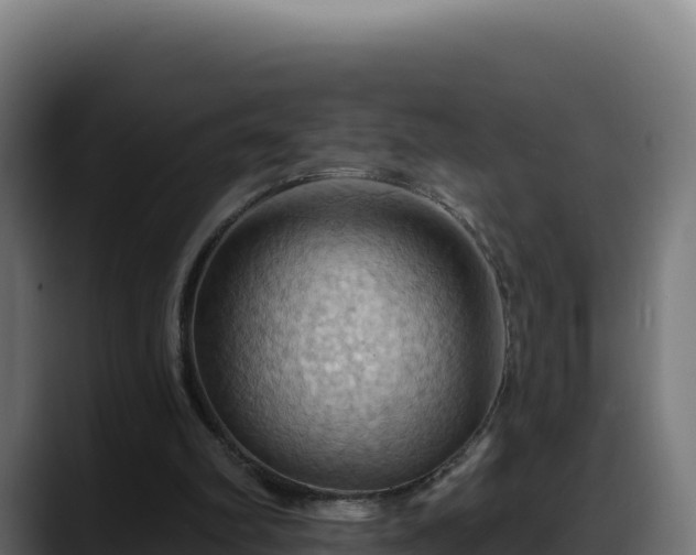 X0000088380102200705291356