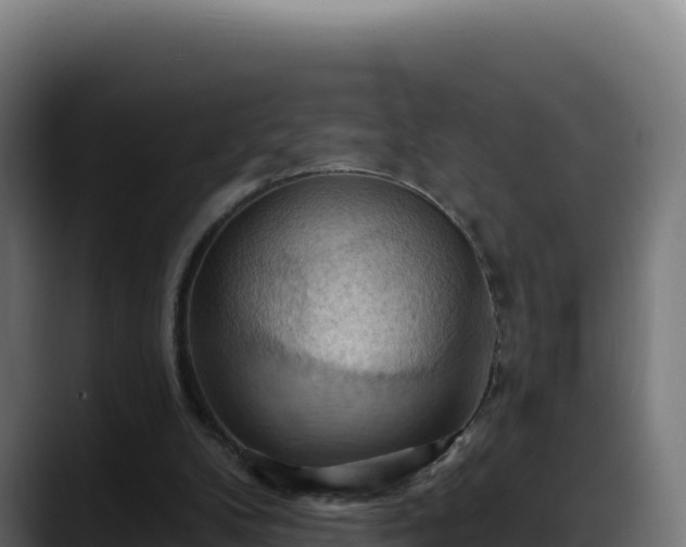 X0000088380104200705291356