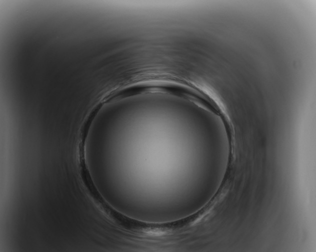 X0000088380105200705291356