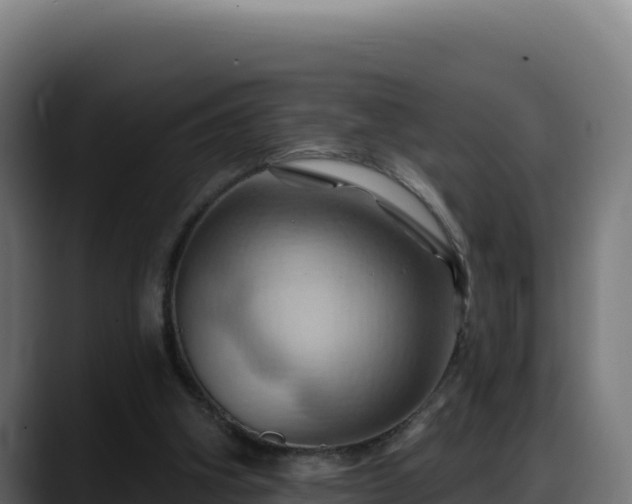 X0000088380106200705291356