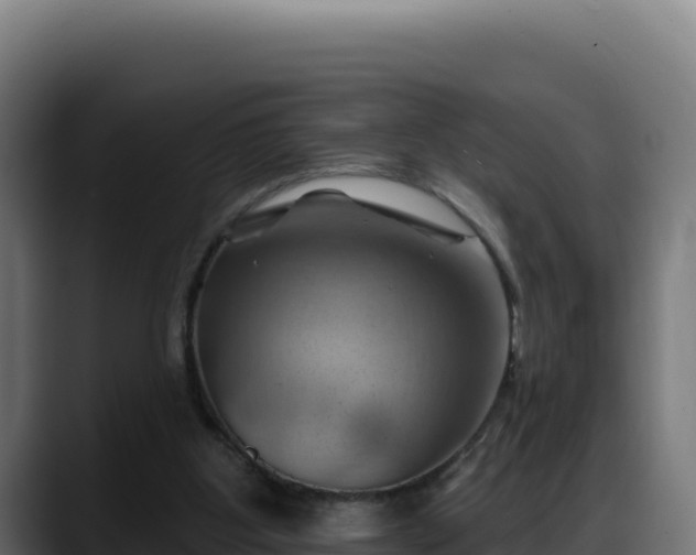 X0000088380107200705291356