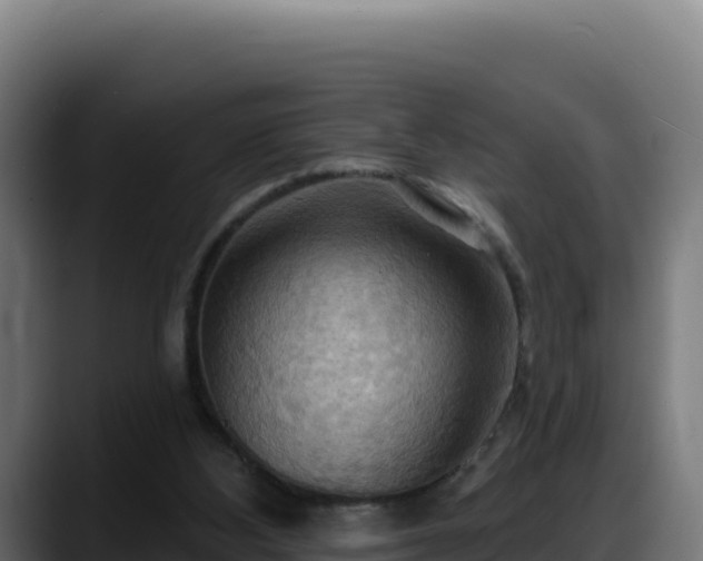 X0000088380108200705291356