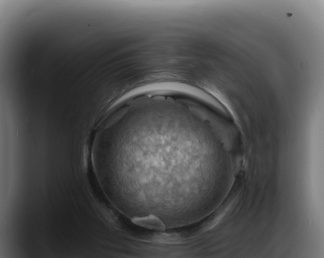 X0000088380109200705291356