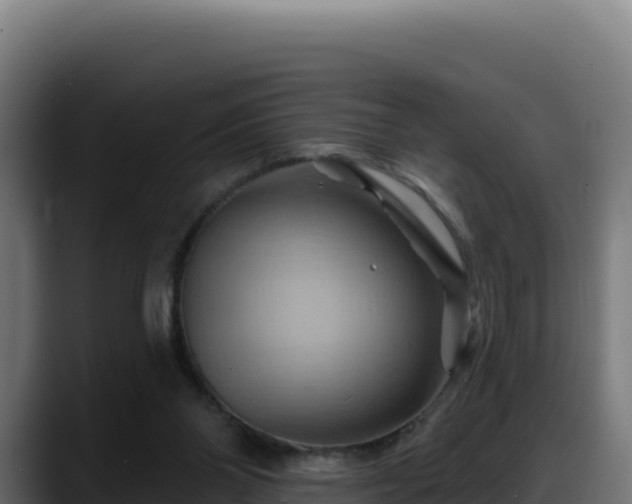 X0000088380110200705291356