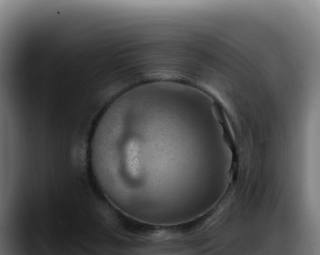 X0000088380111200705291356