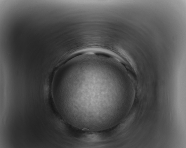 X0000088380113200705291356