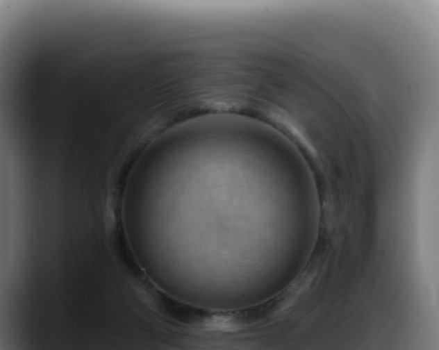 X0000088380114200705291356