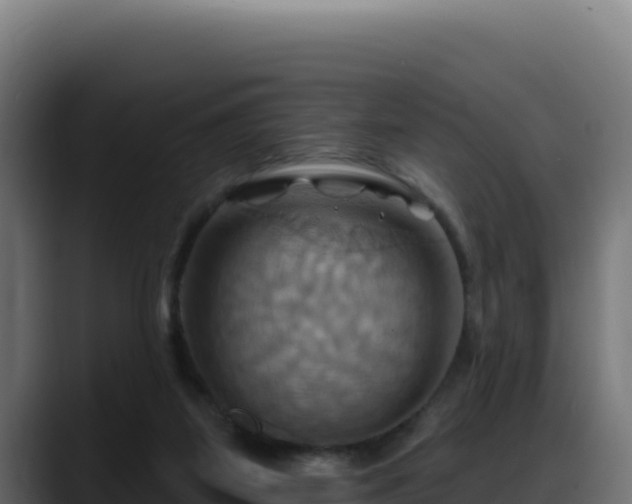 X0000088380115200705291356