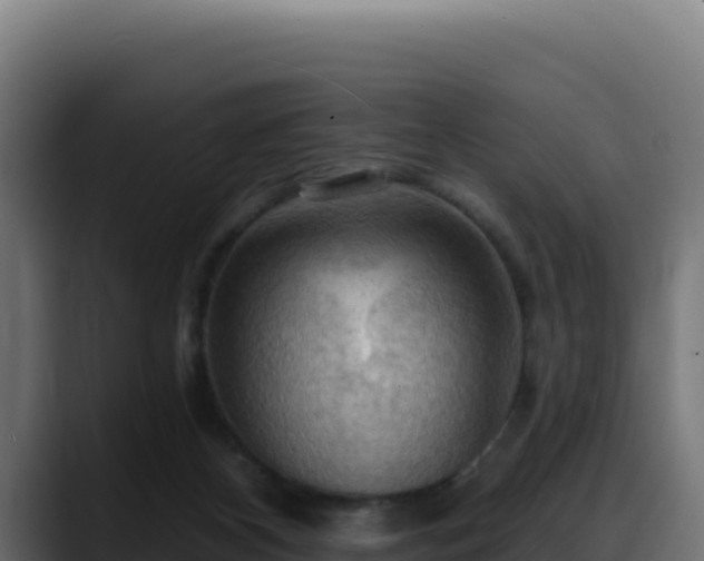 X0000088380116200705291356