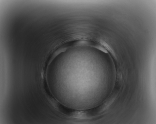 X0000088380117200705291356