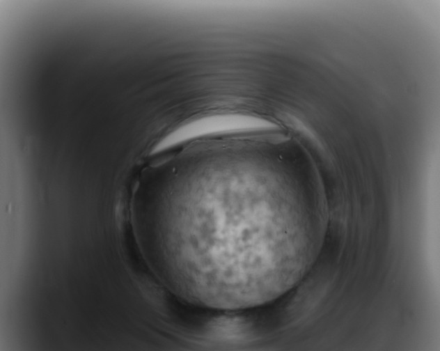 X0000088380119200705291356