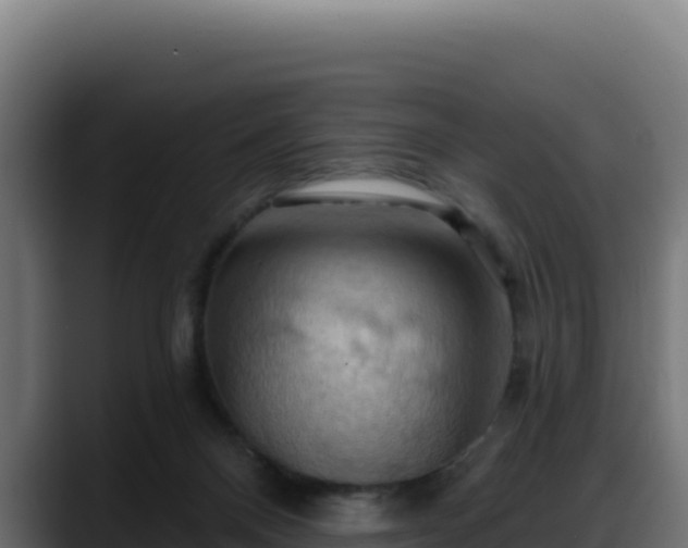 X0000088380120200705291356