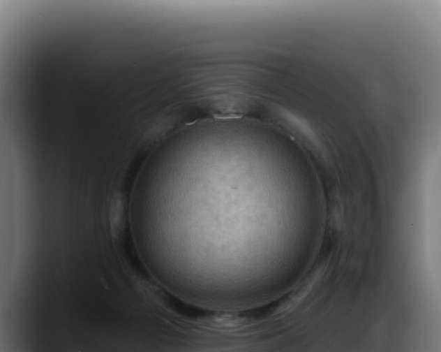 X0000088380121200705291356