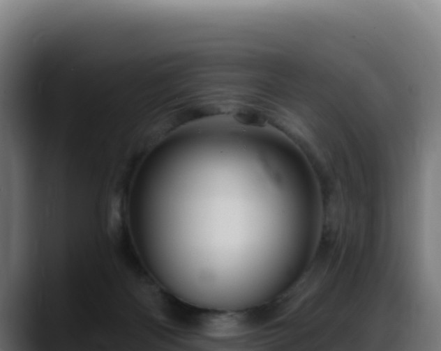 X0000088380122200705291356