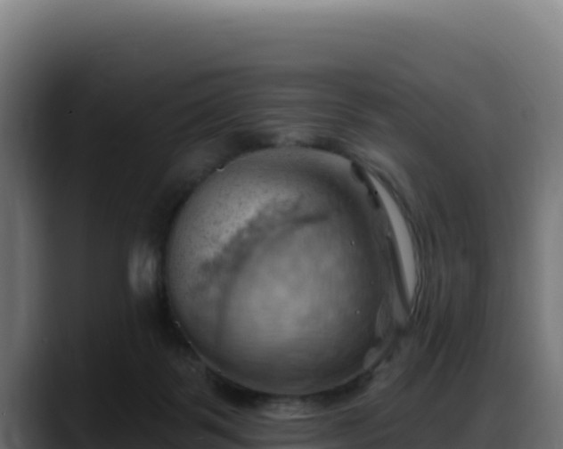 X0000088380123200705291355
