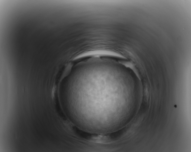 X0000088380125200705291355