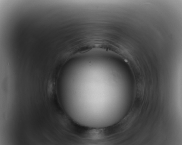 X0000088380126200705291355