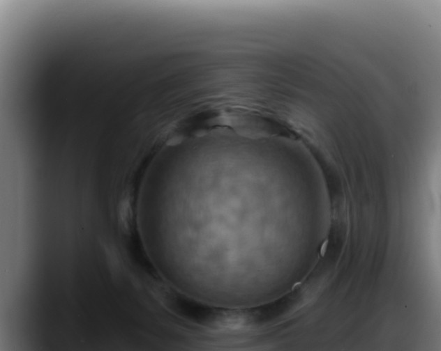 X0000088380127200705291355