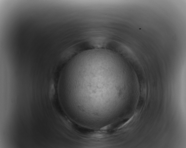 X0000088380128200705291355