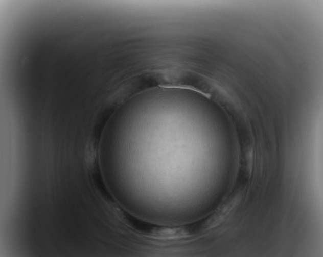 X0000088380129200705291355