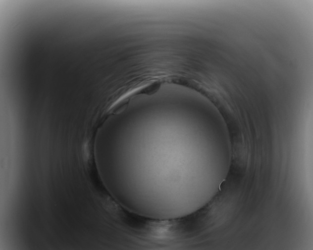X0000088380131200705291355