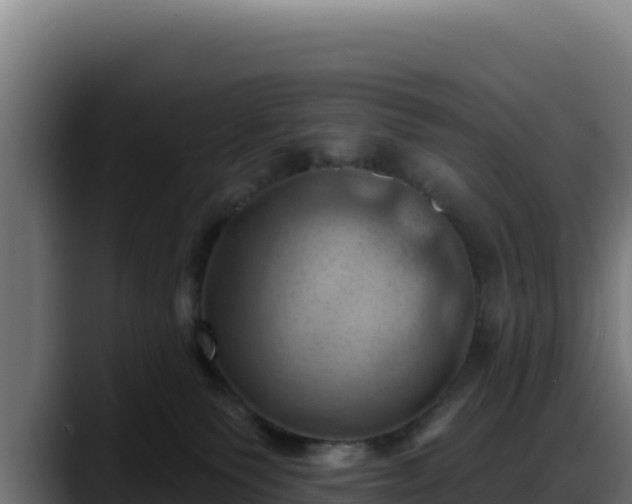 X0000088380135200705291355