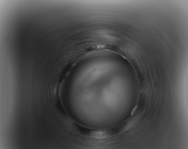 X0000088380139200705291355